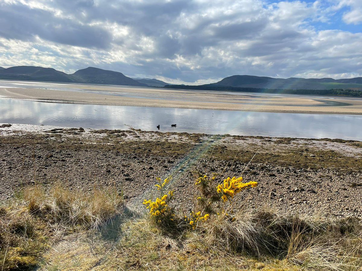 A man’s best Friend(s) Golspie, Sutherland 🏴󠁧󠁢󠁳󠁣󠁴󠁿🇬🇧