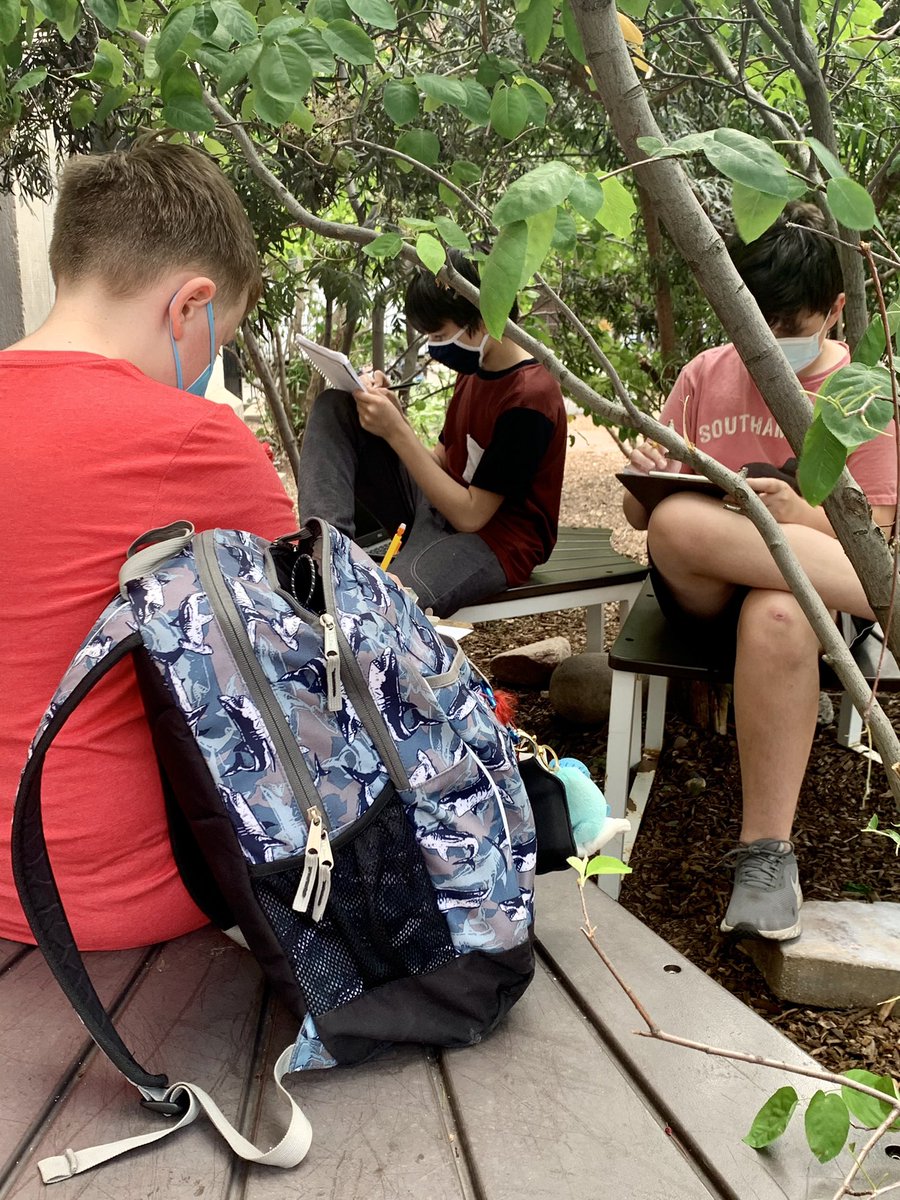 Math in the garden 🪴