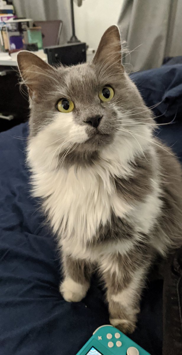 Adam Roussas, MD, MBA, MSE tweet media