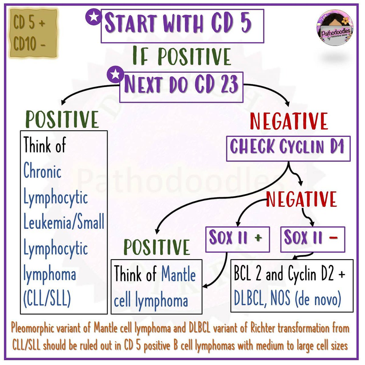 pathodoodles's tweet photo. (over) simplified algorithm for B cell lymphomas IHC #hemepath #hematology #PathTwitter #pathboards #pathodoodles https://t.co/BqaWwgwuOp