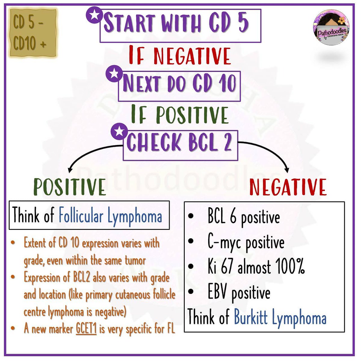 pathodoodles's tweet photo. (over) simplified algorithm for B cell lymphomas IHC #hemepath #hematology #PathTwitter #pathboards #pathodoodles https://t.co/BqaWwgwuOp