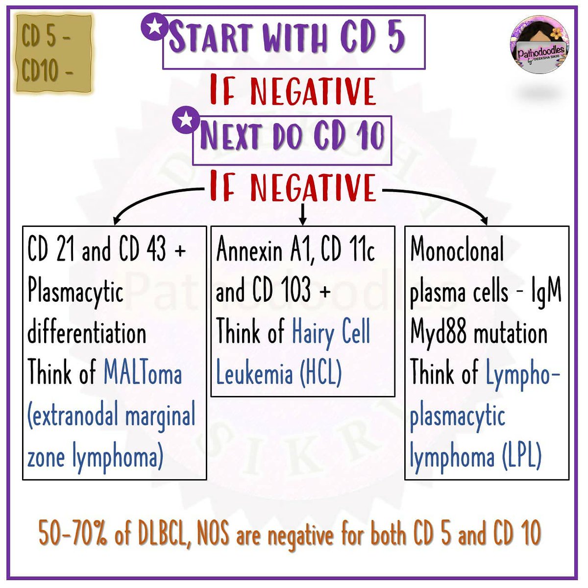pathodoodles's tweet photo. (over) simplified algorithm for B cell lymphomas IHC #hemepath #hematology #PathTwitter #pathboards #pathodoodles https://t.co/BqaWwgwuOp