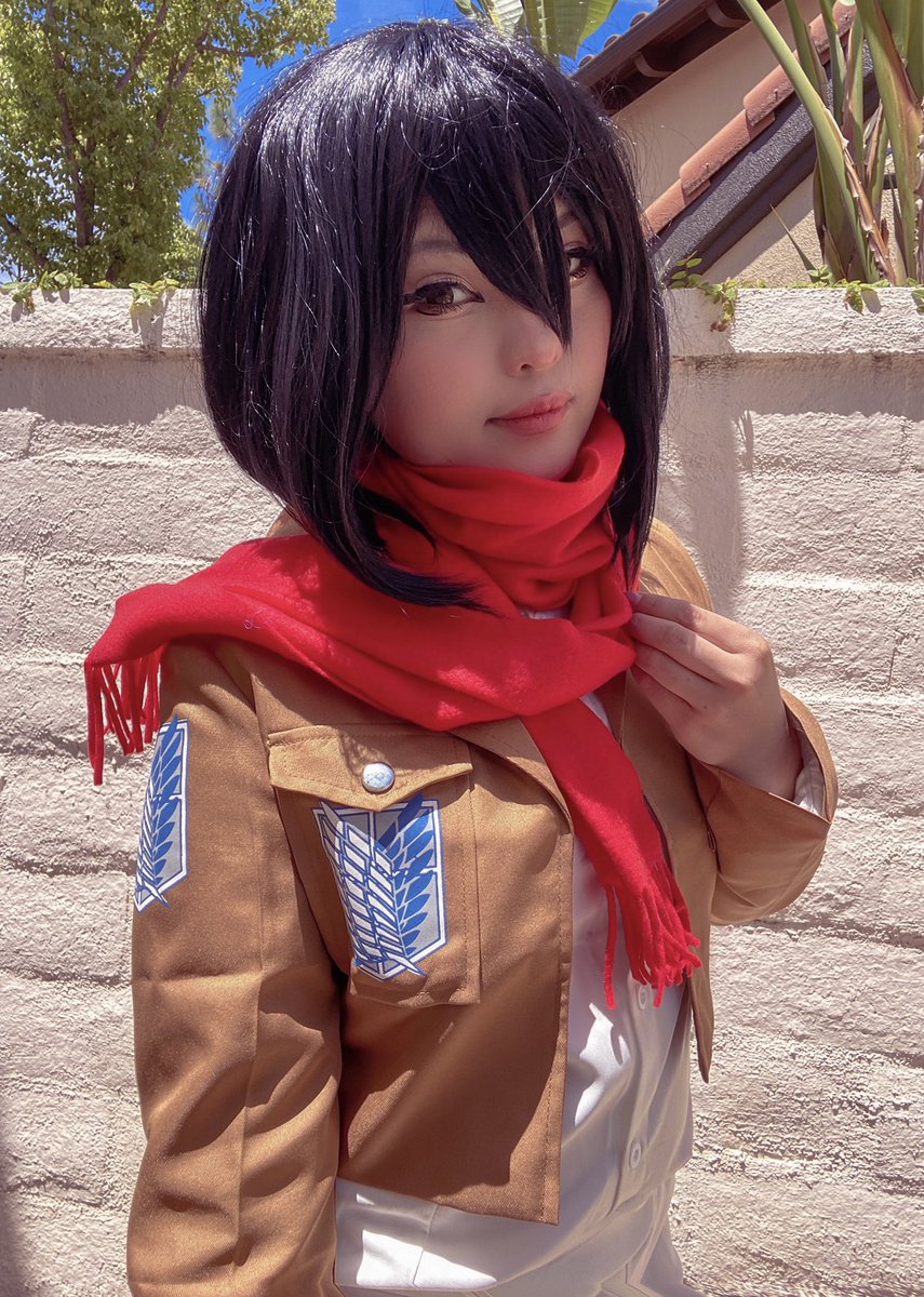 lynniequin's tweet photo. ackermans are the best in attack on titan can’t change my mind ♡︎ https://t.co/yXpN4obkqG