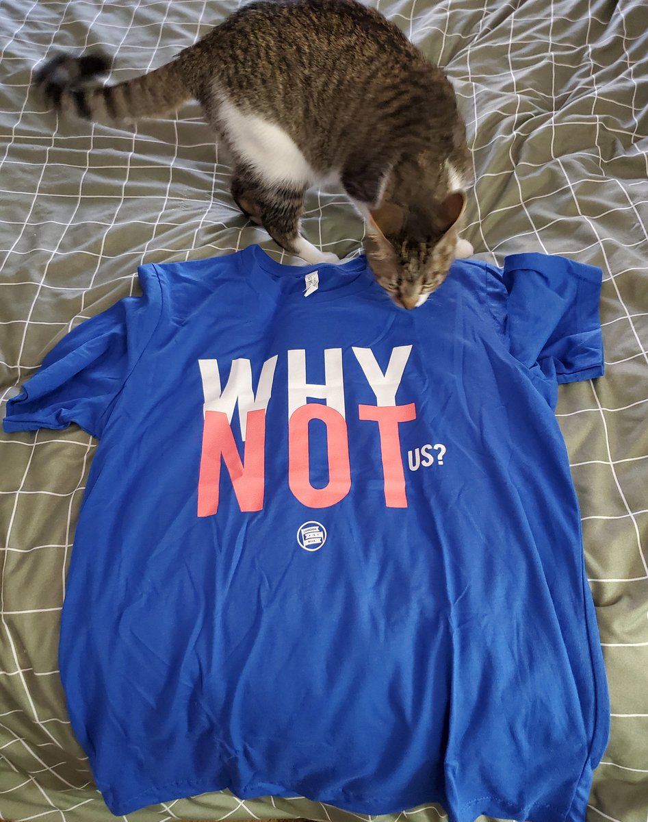 kateprice_less's tweet photo. @LondonBluePod Designed and Mittens Approved! I know what I'm rocking for this Saturday's UCL Final #UCL #ChelseaFC #LiBP #WhyNotUs https://t.co/OsM20GDu6F
