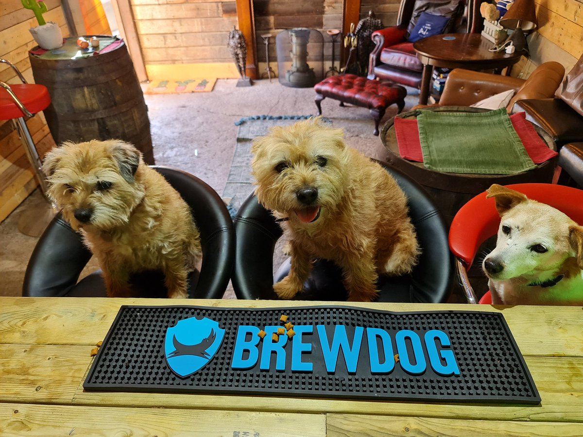 pjrayner1's tweet photo. @BrewDog busy tonight at #mexicangeorges https://t.co/g5Yv6VE7lG