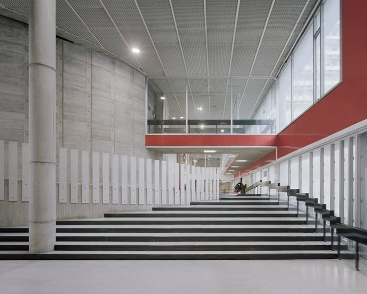 brainlet tweet media