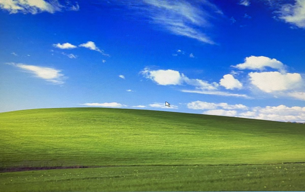 ComputerTweety's tweet image. Remember those sweet and innocent days? Before scams. 🤔