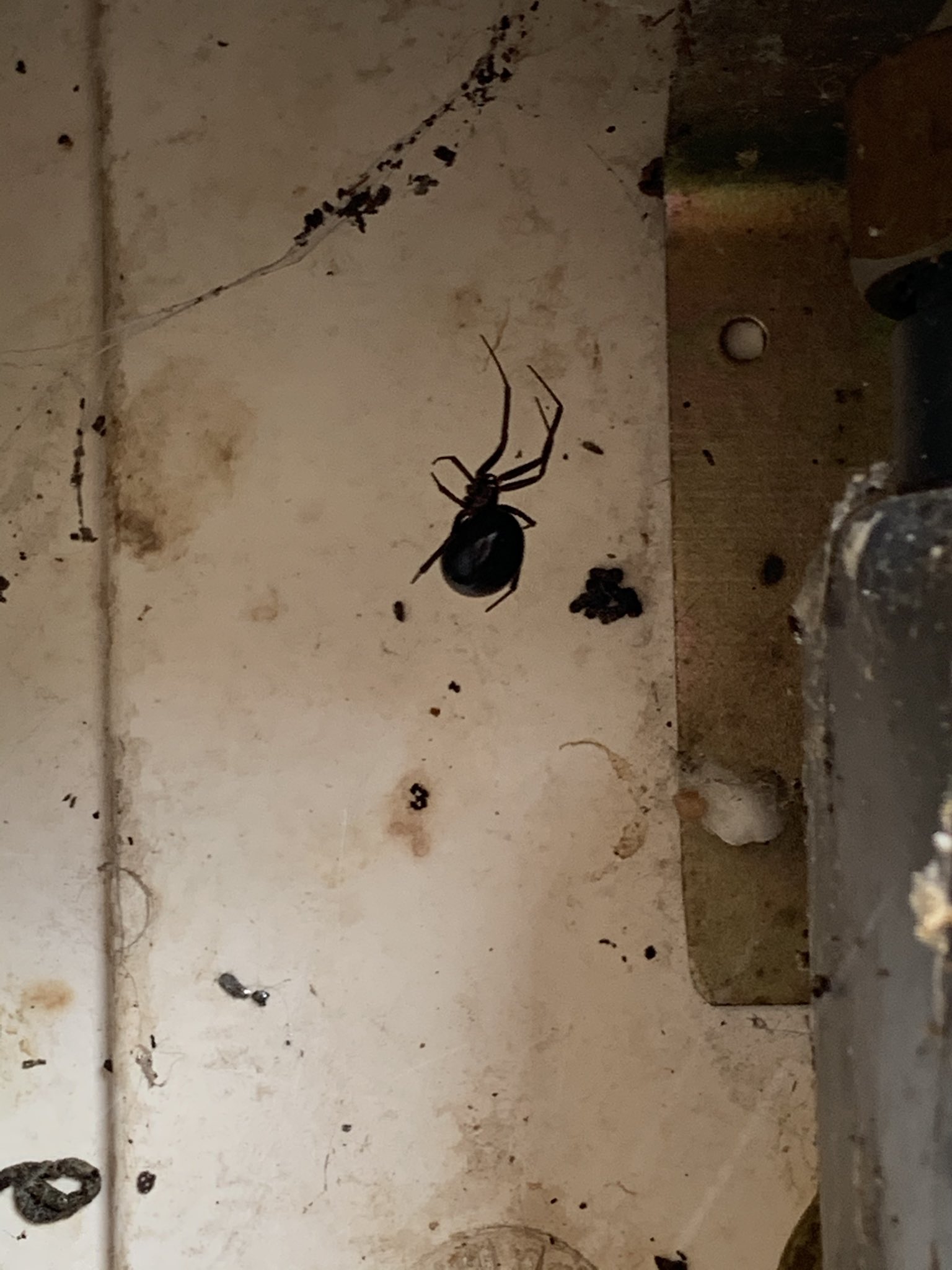 TW Pornstars 🍂 AUTUMN AYRES 🍁 NO PPV EVER. Twitter. THIS is why I don