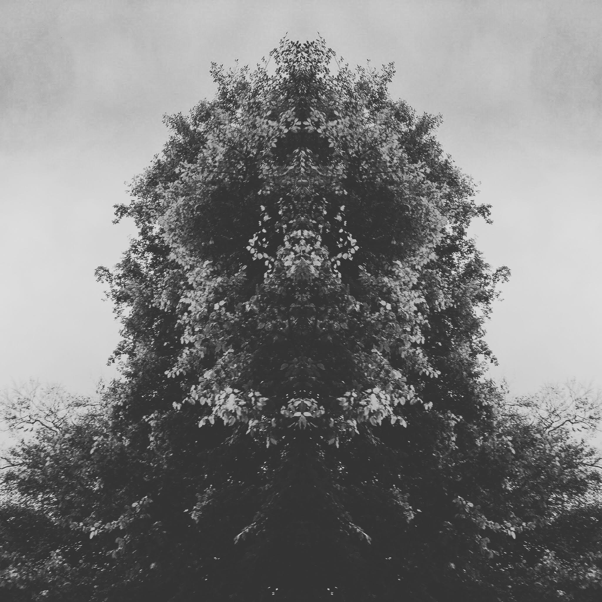 EcomonstrousPhD's tweet photo. Important notice: MONSTERS ARE MORE THAN HARBINGERS OF EVIL AND DESTRUCTION. MONSTERS ARE UNCONTAINABLE IRRUPTIONS OF THE FECUNDITY OF EXISTENCE. https://t.co/ePU0GdPw4B #monstrousontologies #ecomonstrous #ontography https://t.co/SzikSON9R9