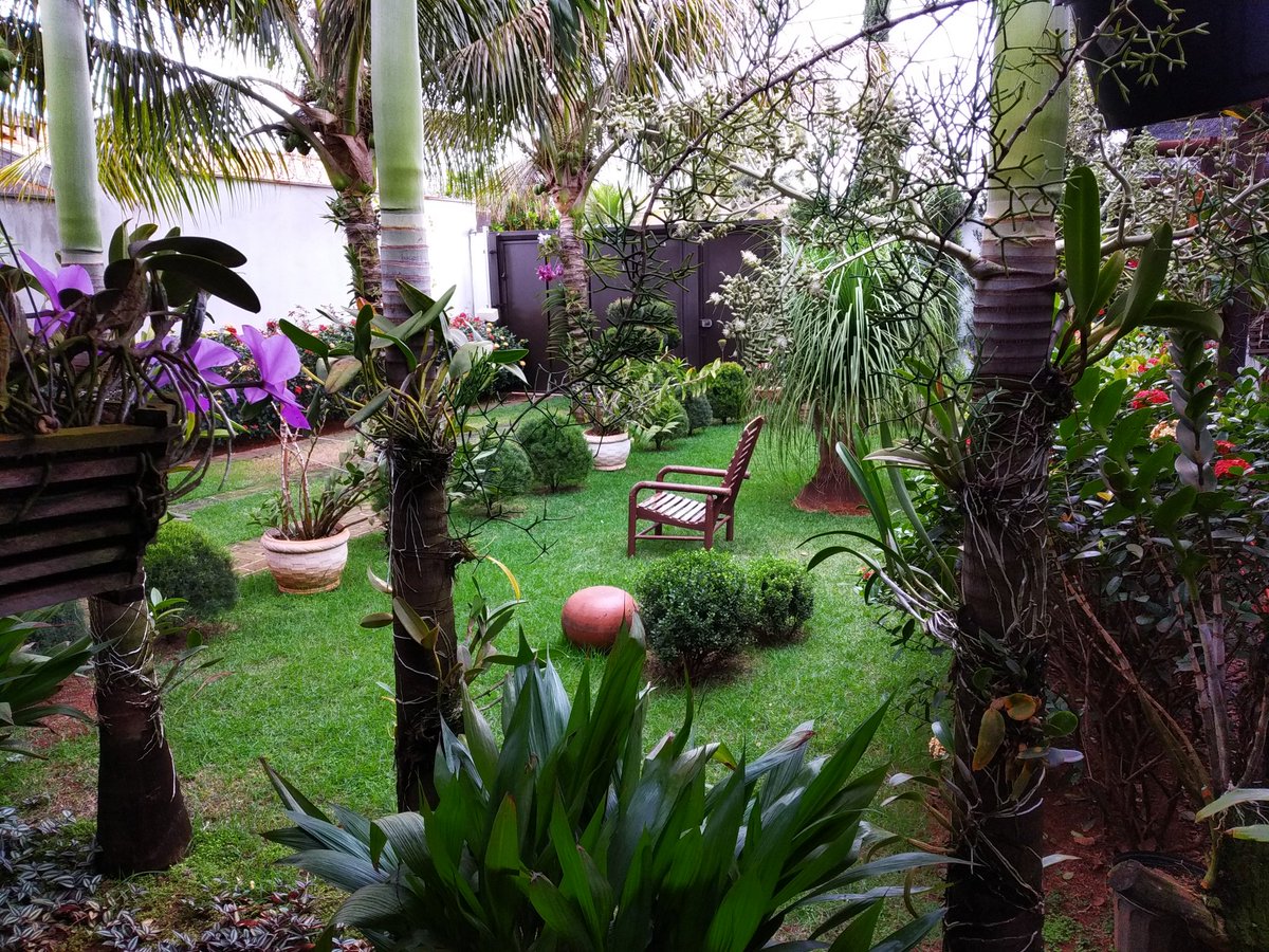 namiartwork's tweet photo. Jardim do meu pai é bonito demais https://t.co/r7l8bKenib