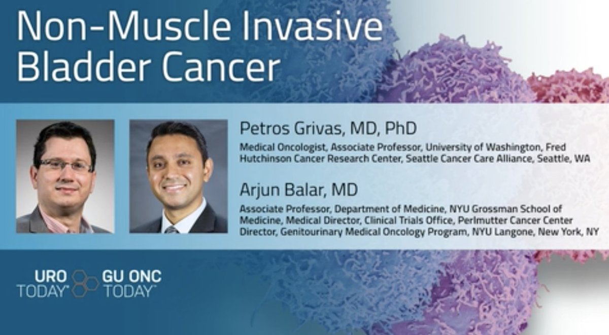 urotoday's tweet photo. Pembrolizumab in the real-world setting for nonmuscle-invasive #BladderCancer unresponsive to #BCG. @ArjunBalarMD @nyulangone joins @PGrivasMDPhD @UW for a discussion on UroToday > https://t.co/29rxyQXKUD @fredhutch @SeattleCCA #KEYNOTE057 https://t.co/npkzUTIoVC