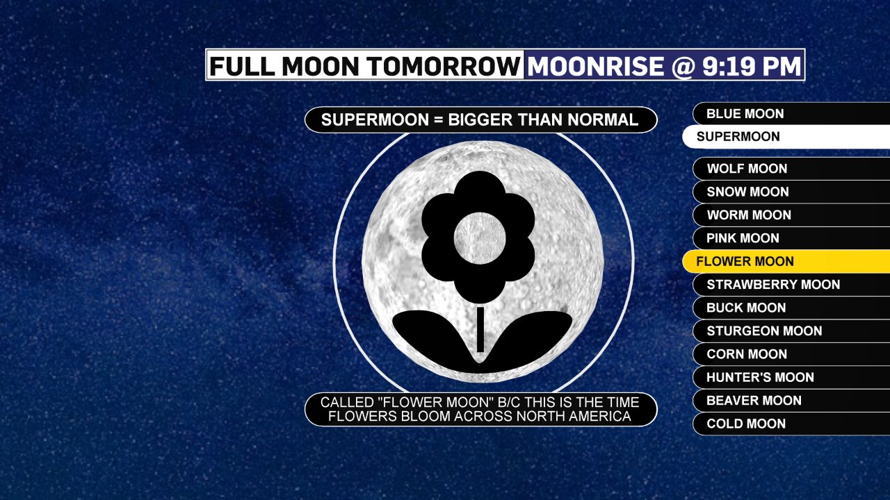 blue moon flower meaning