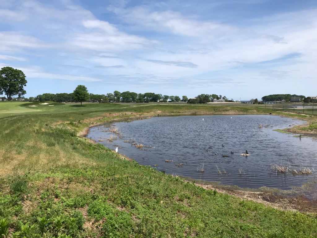 thepondandlake's tweet photo. Before and after phragmites mowing project in Norwalk, CT.
#phragmites #wetlandconservation #invasivespecies #commonreed ##beforeandafter #invasiveremoval #invasivecontrol #norwalkct #norwalkconnecticut #ctwetlands #phragmites #wetlandplants https://t.co/wabTMsJ9ip