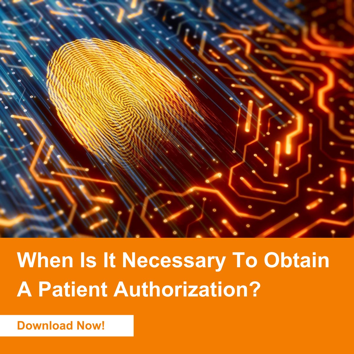 In this white paper, we dive into the differences between medical canvassing and record retrieval. This white paper also distinguishes how and when HIPAA applies to both medical canvassing and record retrieval. hubs.ly/H0MSyps0