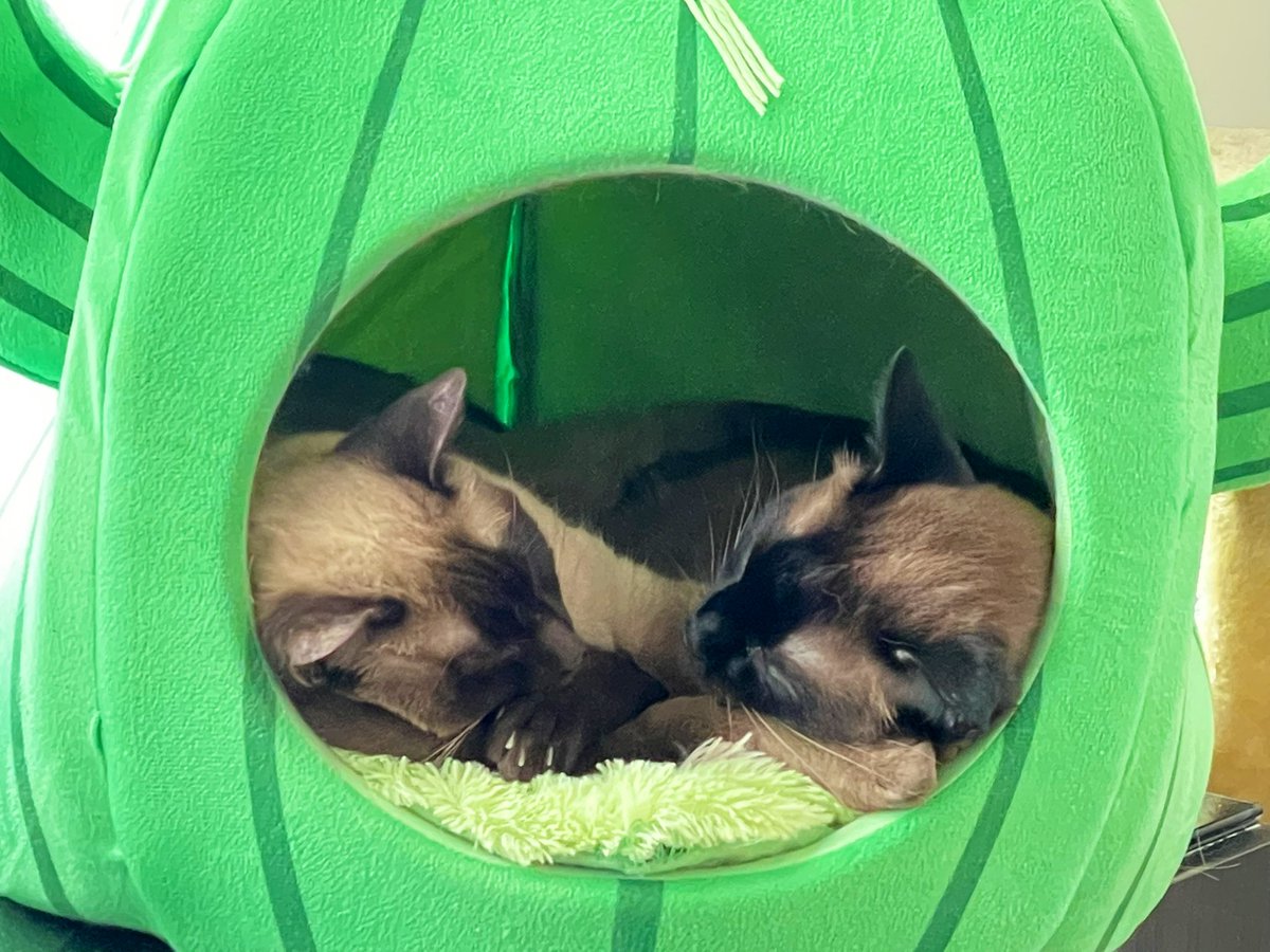 Ⓜ️elissa tweet media