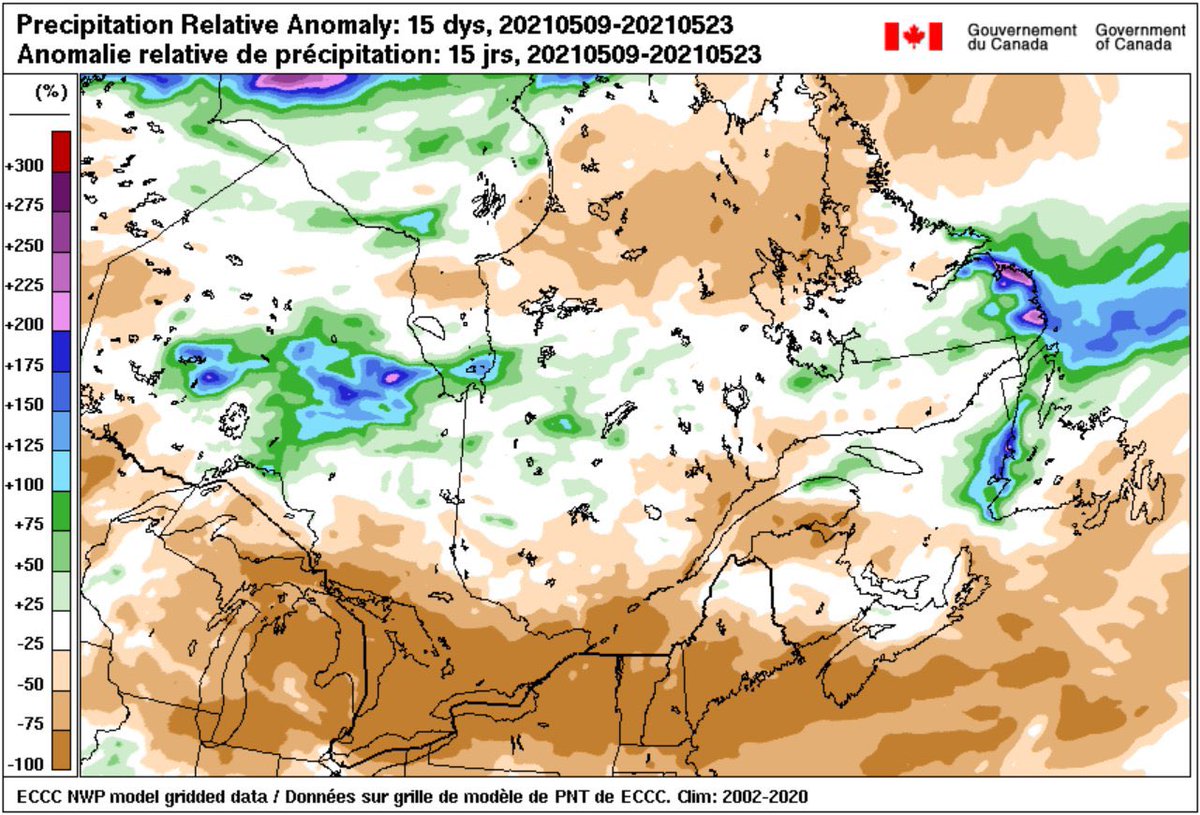 What a wknd! This stretch of weather has been great for outdoor activities, but the forest needs some rain. 🌞 #HaltonON #MiltonON #mtb #hike #run #trailfun