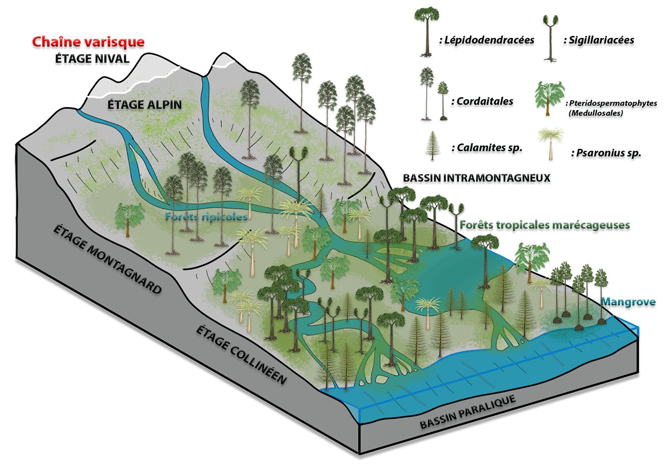 Alexis Rastier Sigillaria 🌴 on Twitter