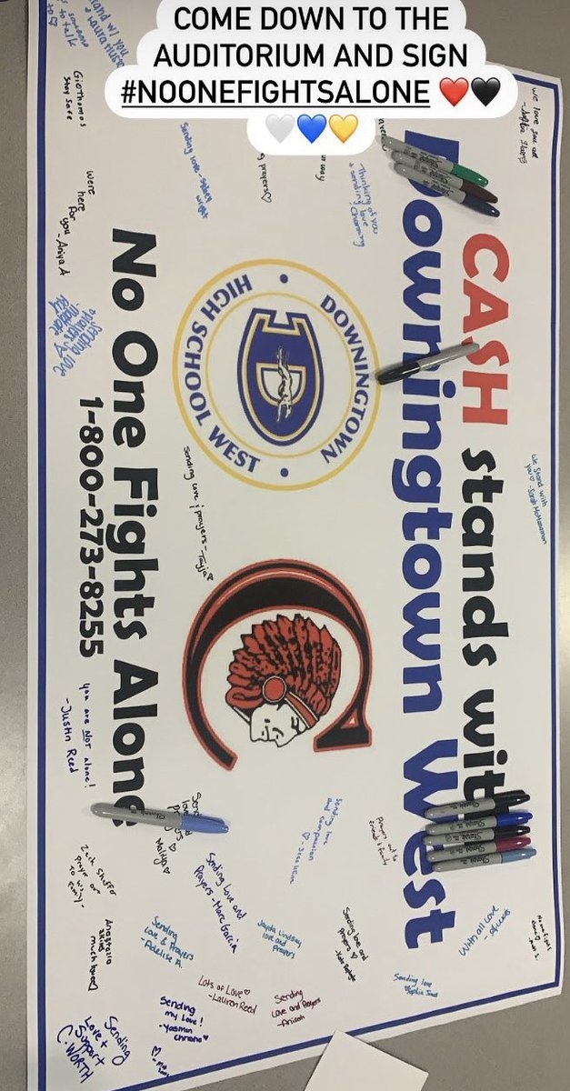 trimboli_272's tweet photo. @cvilleclass21 @CvilleSS_12_13 #noonefightsalone @afspnational so proud of you, kiddos! https://t.co/2xz6PDeuXM