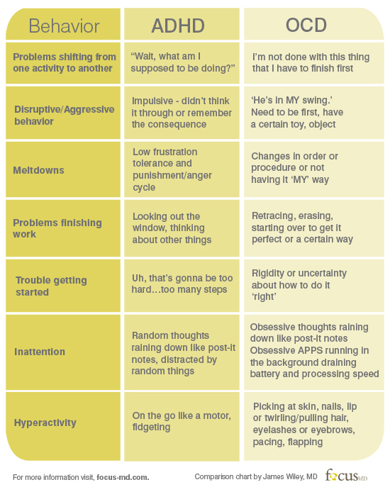 Focus-MD tweet media