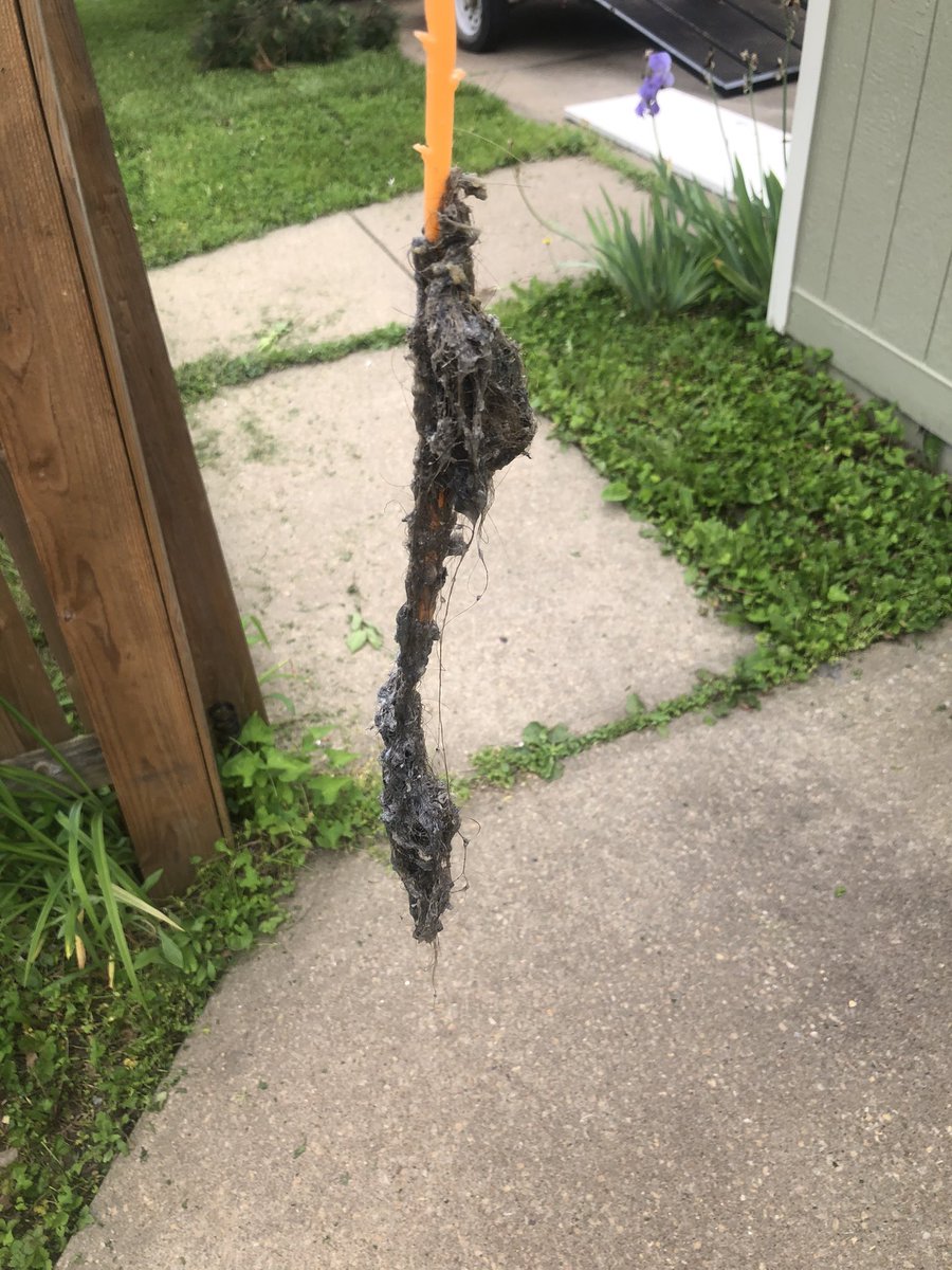 LifeLandlord's tweet photo. New rule: you can rent from me only if you are bald #ZipIt #DrainSnake https://t.co/d2JXVUvXiD