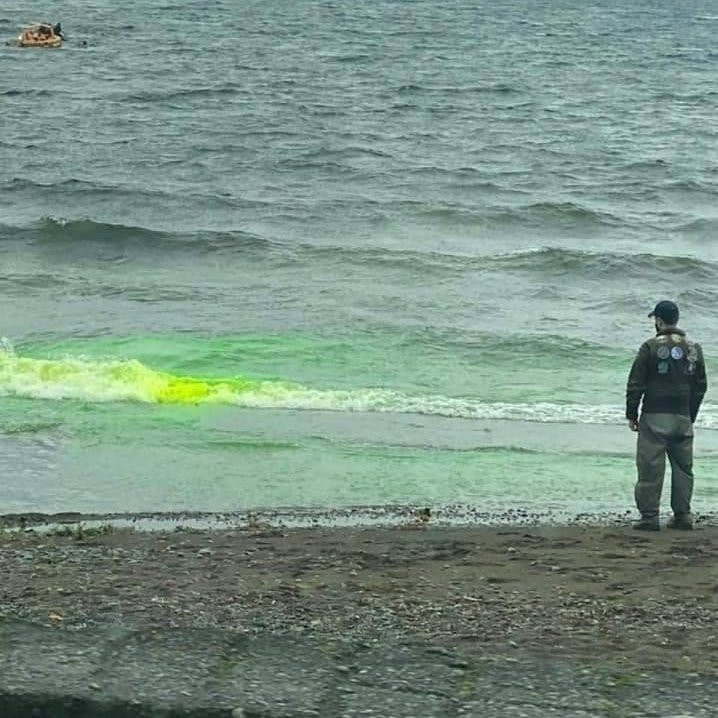 EarthquakeChil1's tweet image. URGENTE LLANQUIHUE CHILE 🇨🇱
A esta hora seguidores me informan preocupados al color verde fluorescente de las aguas en las orillas del lago Llanquihue. 
Estare ampliando esta información.