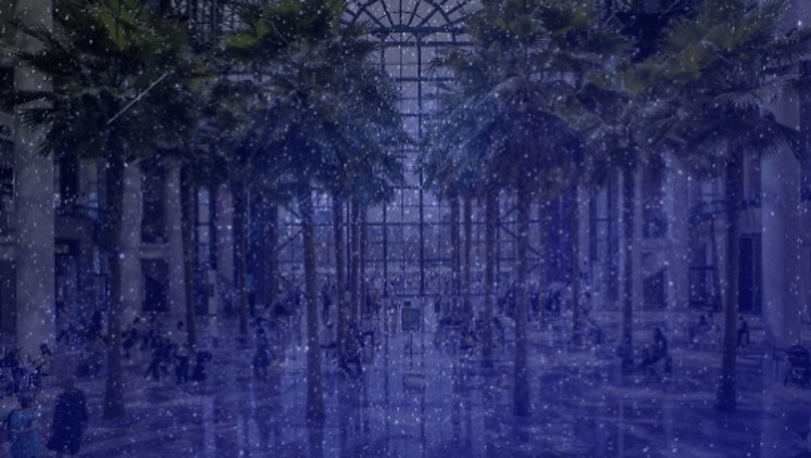 The Downtown Alliance (@downtownnyc) on Twitter photo Strange, Thought-Provoking, Powerful: ‘A Dozen Dreams’ At <a href="/BFPLny/">Brookfield Place (BFPL) New York</a> downtownny.com/news/dozen-dre… Strange, Thought-Provoking, Powerful: ‘A Dozen Dreams’ At <a href="/BFPLny/">Brookfield Place (BFPL) New York</a> downtownny.com/news/dozen-dre…