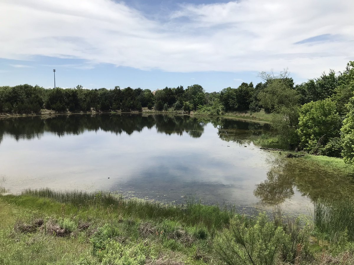 Well, school is out, so here’s my lunch duty out on patrol! And, the sun came out!!! ❤️