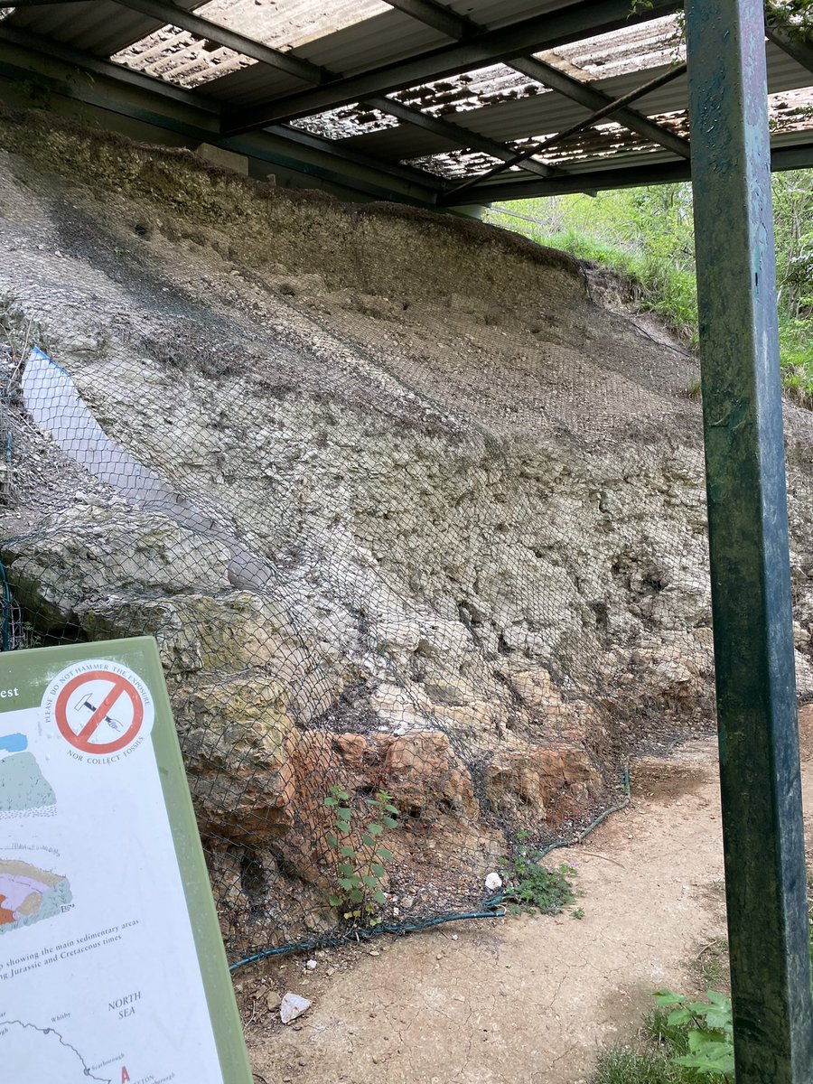 Doratime's tweet photo. @YorksWildlife lovely walk incorporating Rifle Butts Quarry https://t.co/yVbfrqjzKJ