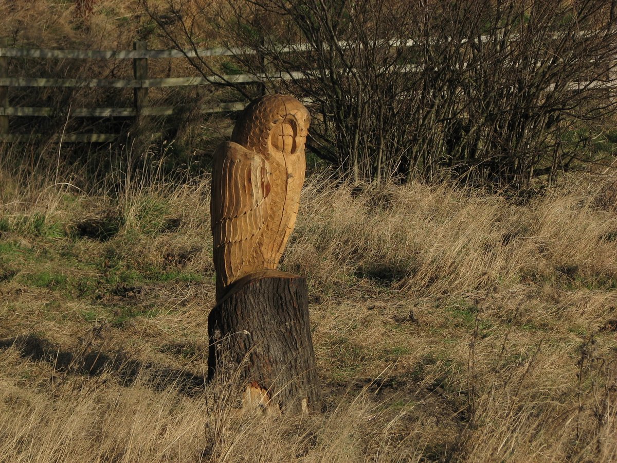 Northern Navigators Orienteering Club tweet media