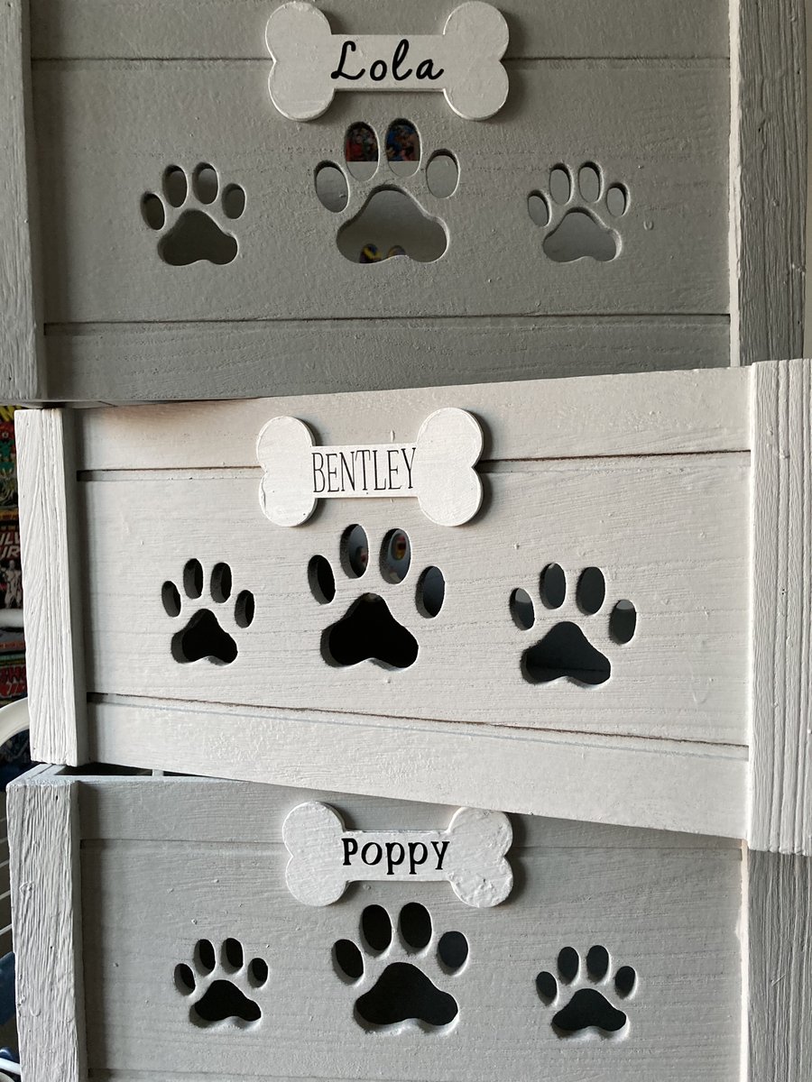 Mijopets's tweet photo. Woohoo! 10 sales on our Etsy store - https://t.co/8Ro2KzlF48
Exciting day! We look forward to Lola, Bently and Poppy receiving their new boxes! New delivery options
New competition with PetStop (https://t.co/RFlen5bDFL) and online store - https://t.co/jyrmPcdDRD https://t.co/yhWAcW4xrK