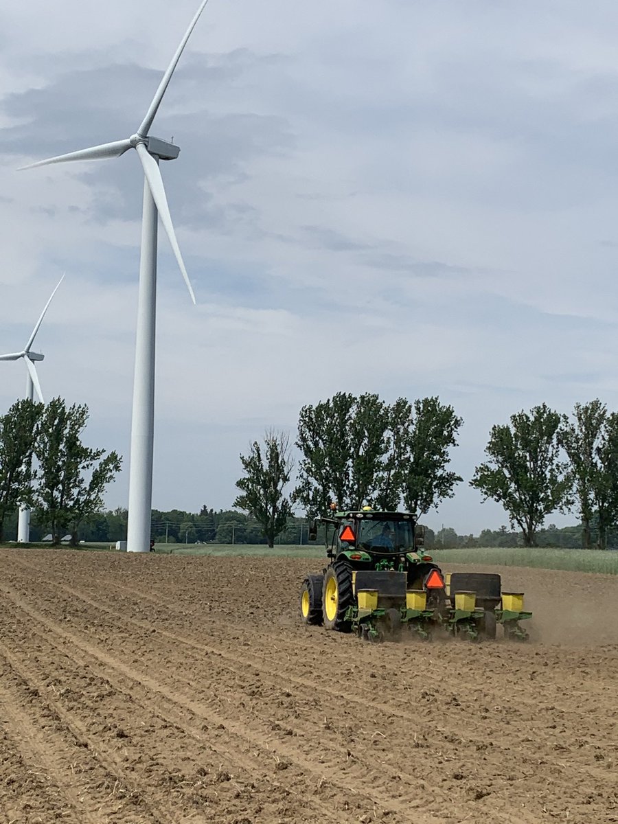 Pasztor79's tweet photo. Start eating your pickles and relish now... cucumber #plant21 underway as we speak. 🥒🥒🥒 https://t.co/xC9Yc0T7el