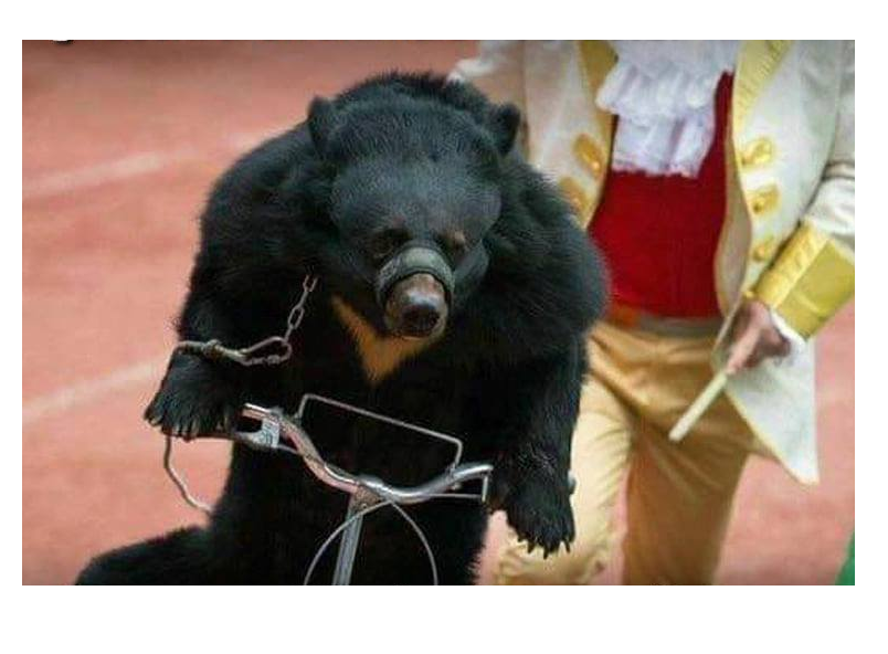 unknⓋwn 🌿 tweet media