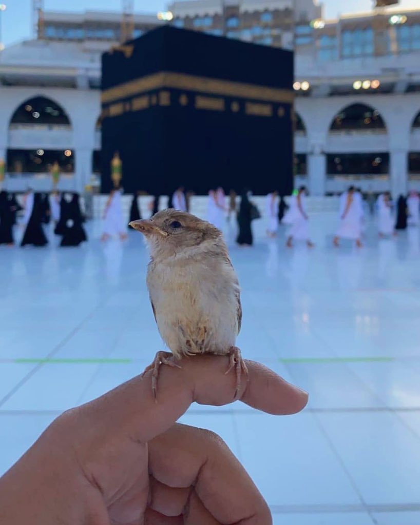 Grand Mosque in Mecca