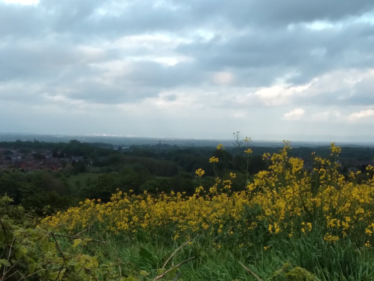 louisehawxwell's tweet photo. Good to get out for a stompy walk this evening after a day of sitting far too long in front of the laptop! Cloudy skies a plenty! #100MilesinMayforMind https://t.co/Cwegk59xfv