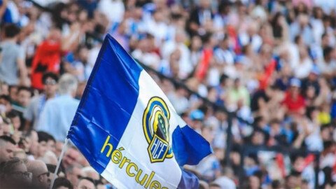 Herculanes, herculans: este diumenge, a les 11h manifestació des de la Pl. dels Estels (plaça dels Cavalls) fins a la Pl. del Ajuntament per la venda del <a href="/cfhercules/">Hércules CF 💙🤍💯</a> 
Tenim que anar tothom. Per la nostra ciutat, el futur del Club i el nostre com aficionats. #OrtizOut
💪⬜🟦🗣️📢⚽