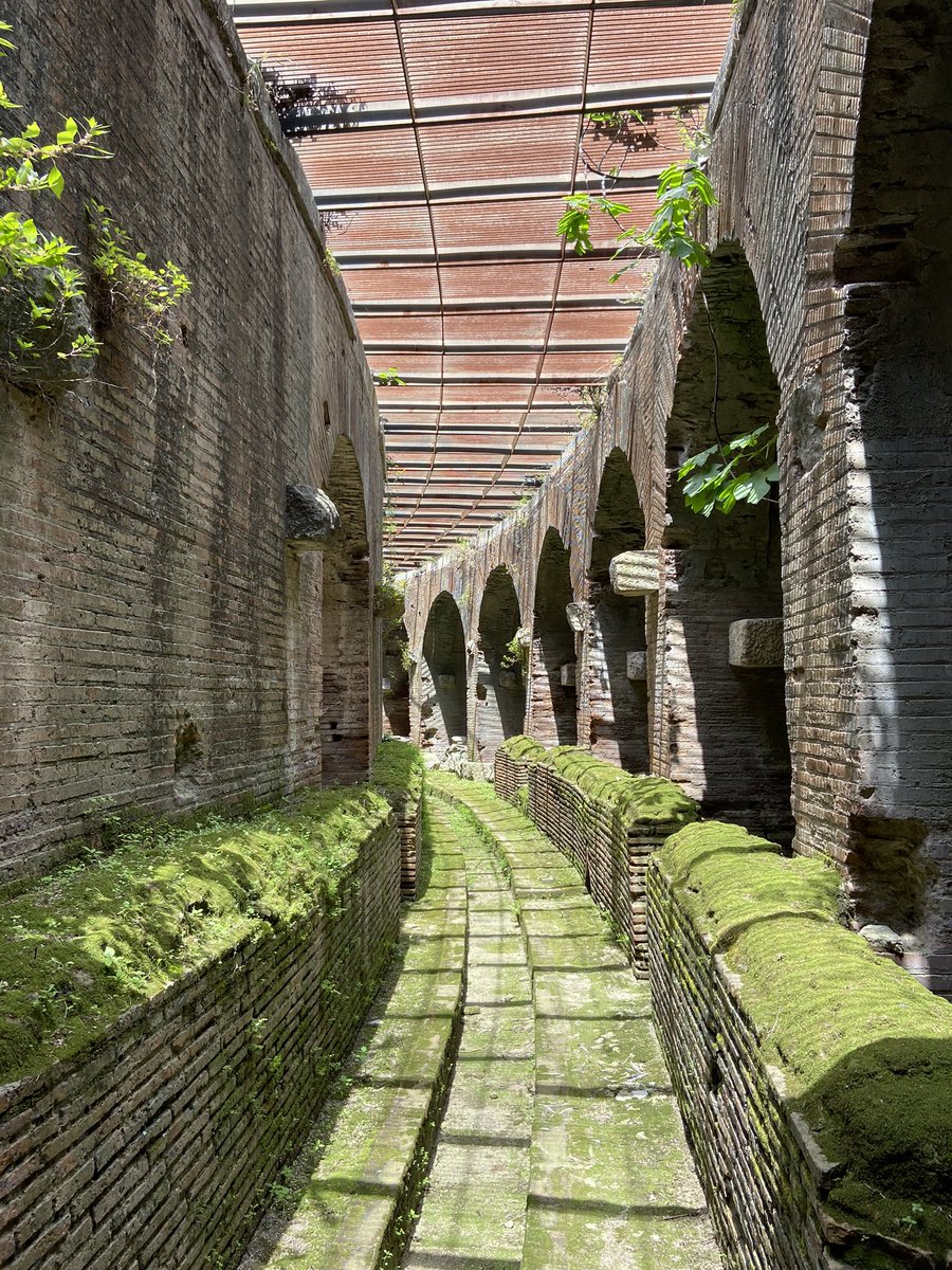 Got very excited thinking about Spartacus, cipollino porticoes and venationes today. We had the arena completely to ourselves! Dinner with a (much longed for) sea breeze in Napoli topped it off 🌅 Sleepy train ride home now. Won’t be forgetting this one fast!