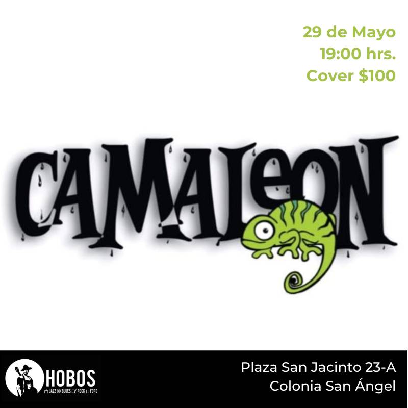 HOBOS (@hobos_mx) on Twitter photo 