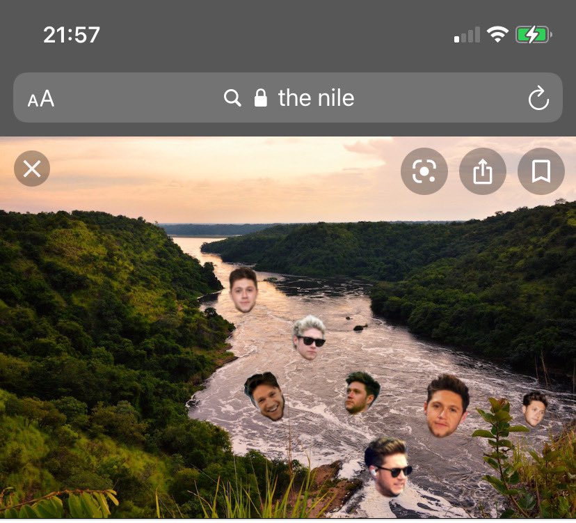 stiIInotmad's tweet photo. niall horan who? i only know the river nile https://t.co/60UHXbMtSW