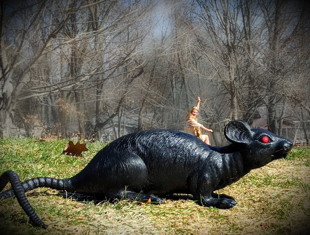 GottaBeCrazy2's tweet photo. #GISH2021 #WizardsAndWeirdos #item46:
Ride with us! Using forced perspective and not Photoshop, either walk through your magical kingdom or ride “on” a R.O.U.S. (rodent of unusual size) transformed for battle. #GISH https://t.co/QS6a0yONou