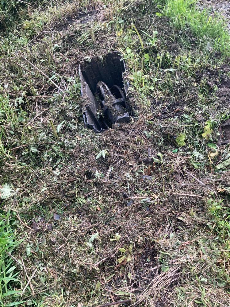 ProfJGrey's tweet photo. Bravo @northyorkscc - excelled yourselves! Ignored agreement with @LothersdaleWG who manage this site voluntarily for #wildflowers. Ignored @Love_plants common sense approach to managing verges. Mowed my guinea fowl on her nest (+ what else?), and destroyed a junction box🤬 https://t.co/hvTkt42dil