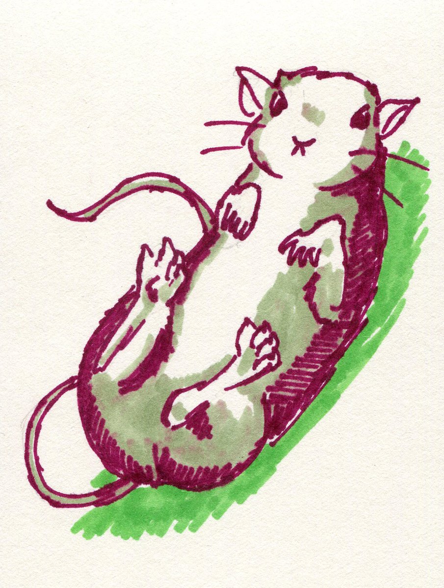 Here's a little rhubarb rat