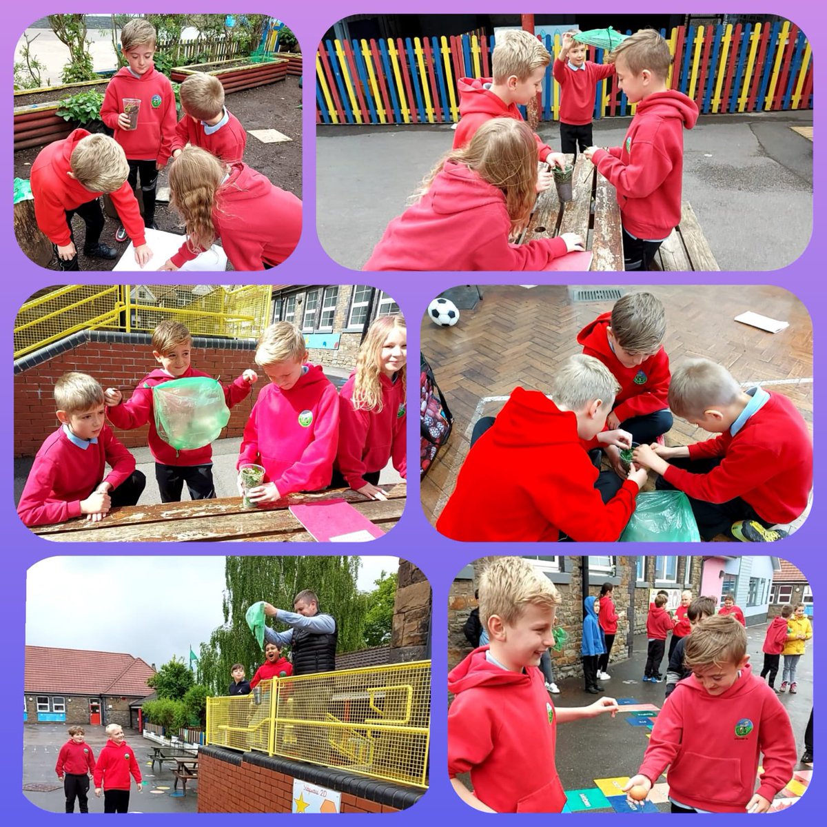 PentrerGraig's tweet photo. Dosbarth Mercury- Egg drop challenge, we had an eggcellent time designing and creating! A cracking time was had by everyone! #pgpoutdoorlearning https://t.co/v57hhl7O0L