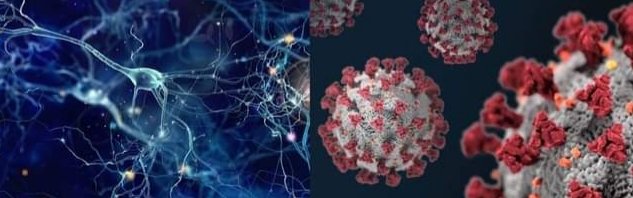 Would you like to contribute to research on post-COVID symptoms with a simple online task (link) (irrespective of whether you have had Covid-19 or not)?
#unipd #COVID19 #postcovid19 #postcovidsyndrome #cognition #psychology

docs.google.com/document/d/1aQ…