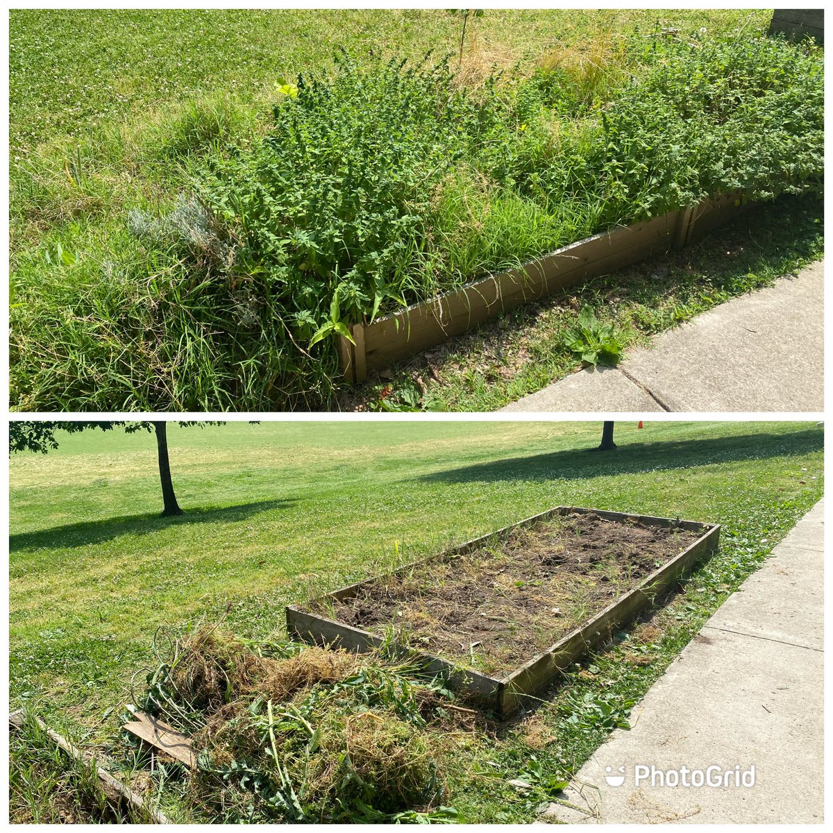 Glebe 3rd Grade tweet media