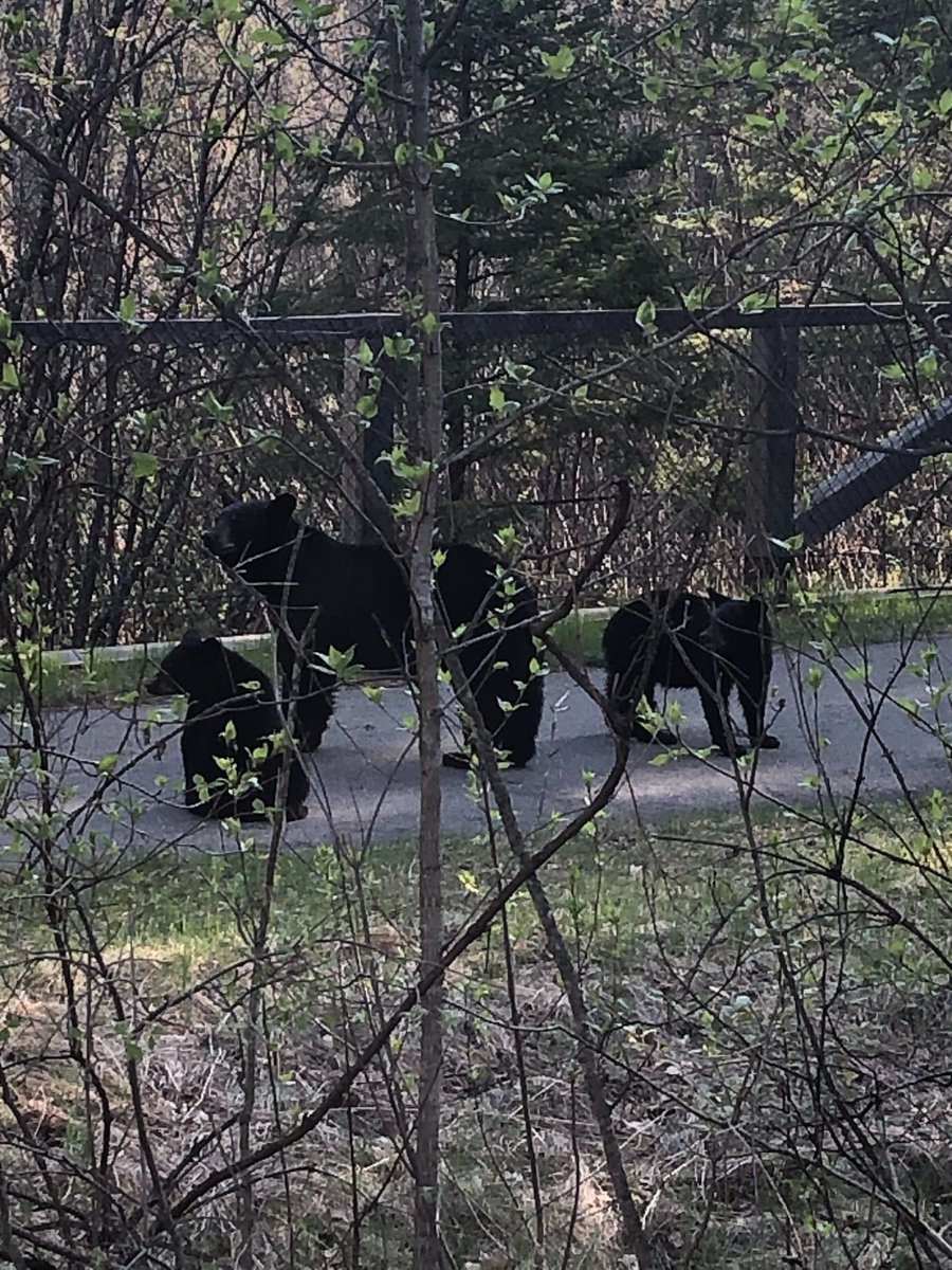Back from an awesome week of fieldwork <a href="/ItascaBio/">Itasca Biological Station & Labs</a>! Big thanks to the station staff for the great accommodations