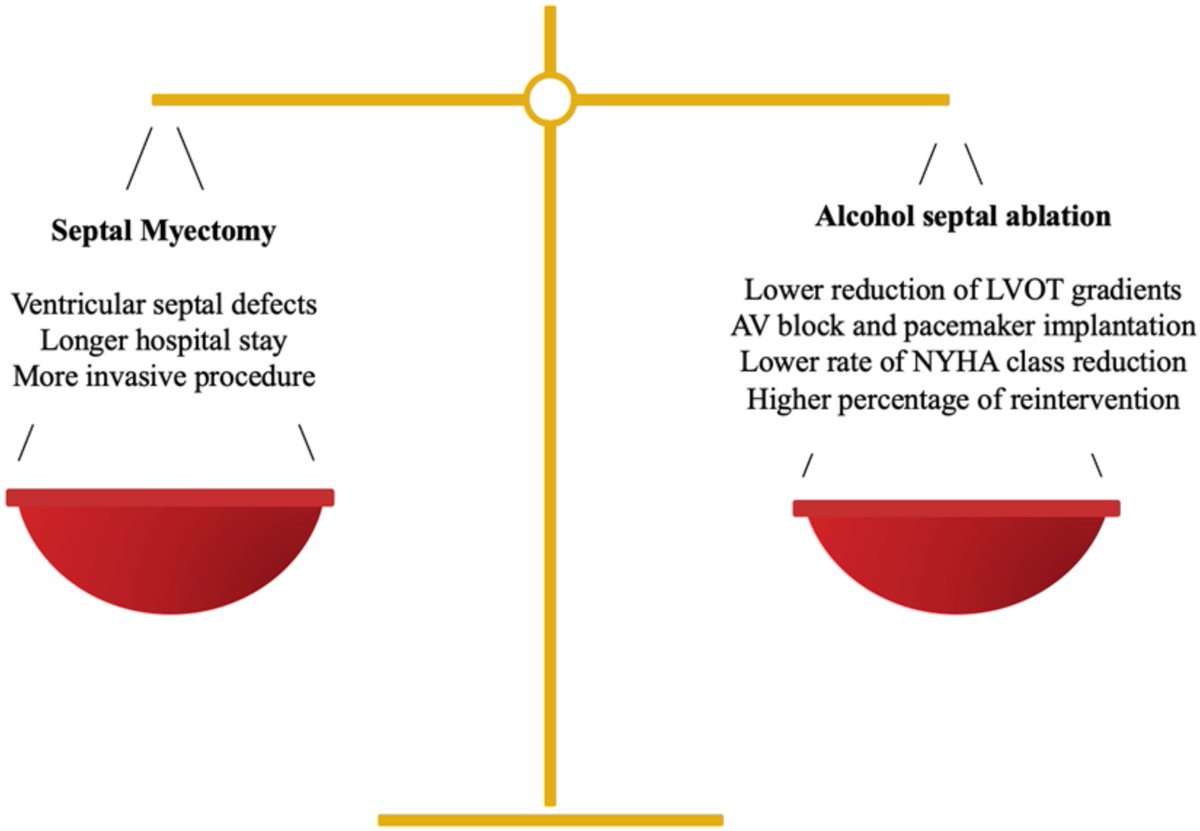 JCM MDPI (@jcm_mdpi) on Twitter photo #mdpijcm
New #Review “Alcohol Septal Ablation: An Option on the Rise in Hypertrophic Obstructive Cardiomyopathy” by Victor Arévalos et al.
More at mdpi.com/2077-0383/10/1…
#hypertrophicobstructivecardiomyopathy #alcoholseptalablation #septalmyectomy
<a href="/hospitalclinic/">Hospital Clínic</a>
<a href="/UniBarcelona/">Universitat de Barcelona</a> #mdpijcm
New #Review “Alcohol Septal Ablation: An Option on the Rise in Hypertrophic Obstructive Cardiomyopathy” by Victor Arévalos et al.
More at mdpi.com/2077-0383/10/1…
#hypertrophicobstructivecardiomyopathy #alcoholseptalablation #septalmyectomy
<a href="/hospitalclinic/">Hospital Clínic</a>
<a href="/UniBarcelona/">Universitat de Barcelona</a>
