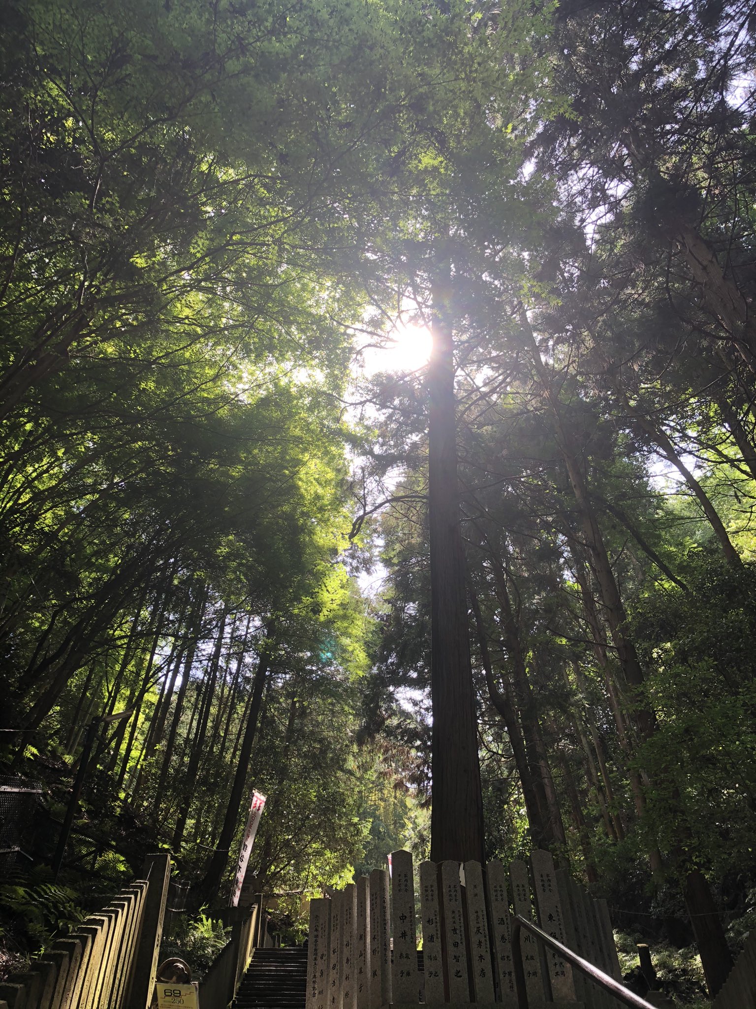 狸谷山不動院 花紅柳緑 かこうりゅうりょく ありのままの自然の美しさを表現した言葉 仏教では 花が赤く柳が緑であるというありのままの姿が悟りの境地であるという 狸谷山不動院 一乗寺 京都 T Co 6wewr8qy7t Twitter