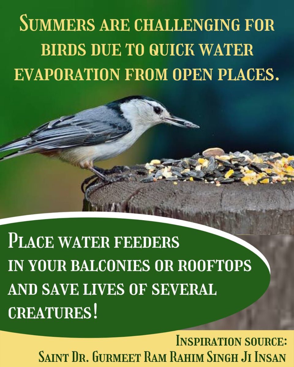 Love_p4eshi's tweet image. #FeedAndSaveBirds
Followers also place a birdbath on their rooftops. In the summer months of scorching heat, when water tends to be scarce, these baths provide birds with drinking water and allow them to cool down. This movement is followed by volunteers very enthusiastically.