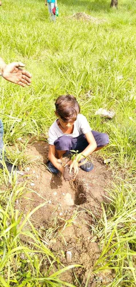 plancafezeb's tweet photo. En el marco de la ruta Bucentenario de la Batalla de Carabobo. El Programa todas las Mános a la Siembra Barinas ZEB.impulsando los Bosques Bicentenario Plaza Jose A. Paez. @zebarinas05 @PTMSNACIONAL @eduardopiate2 @MPPEDUCACION https://t.co/riyoyj1R4S