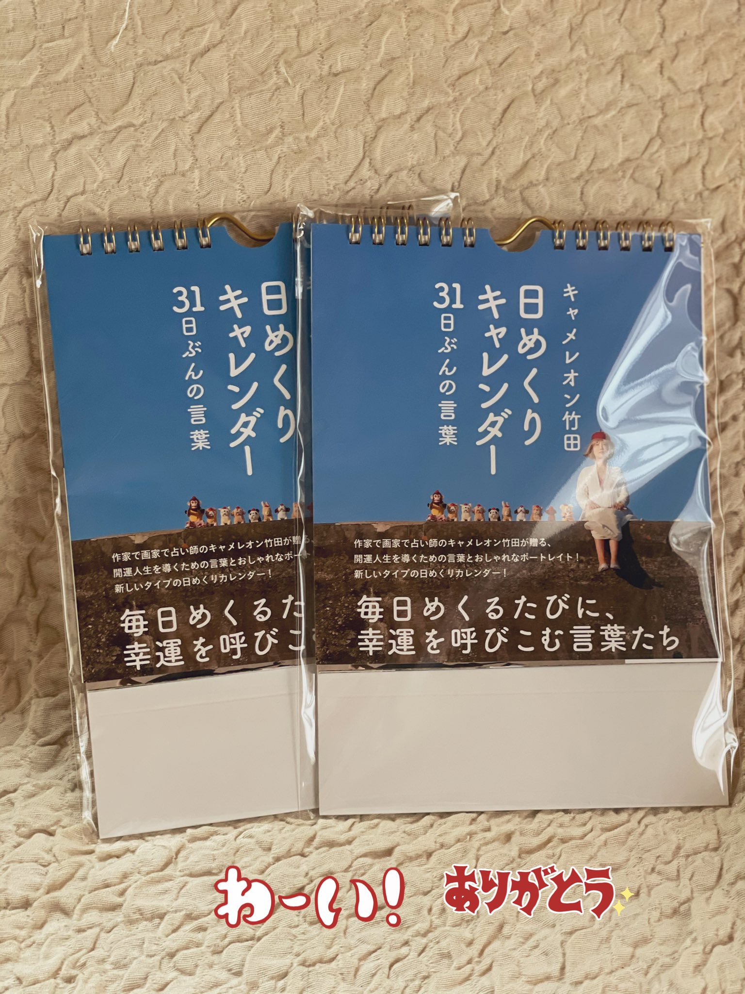 キャメレオン竹田　日めくりキャレンダー キャメレオン竹田 特製 日めくりキャレンダー 日めくり